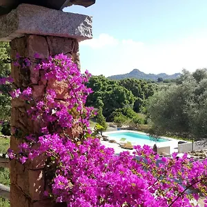Alloggio per agriturismo Desole, Monti
